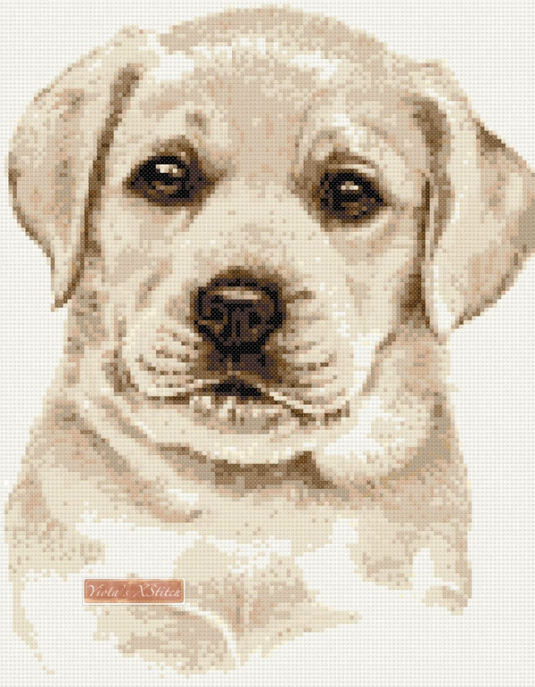 Golden labrador puppy counted cross stitch kit - 1