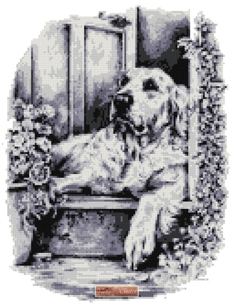 Golden retriever in black, white and gray shades in counted cross stitch kit