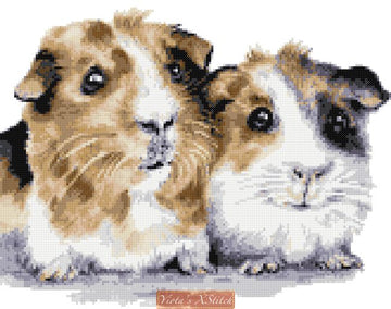 Guinea pigs cross stitch kit