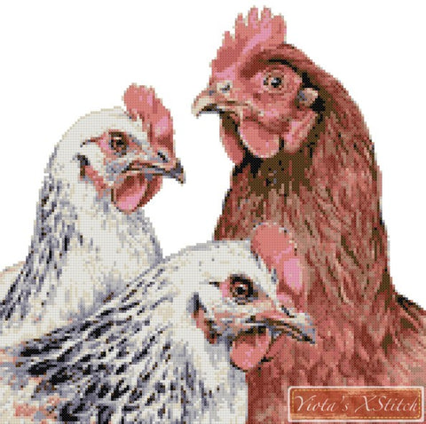 Hens chicken cross stitch