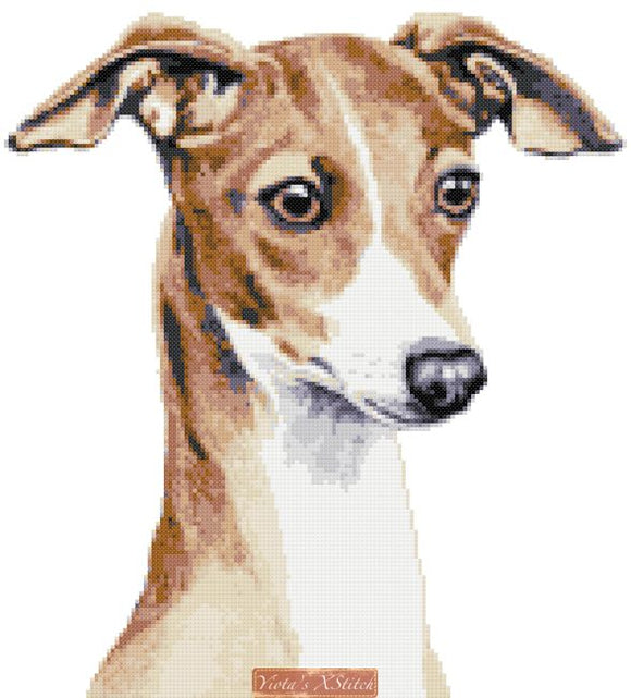 Italian greyhound counted cross stitch kit