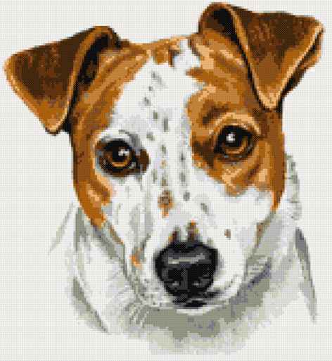 Jack Russell portrait counted cross stitch kit