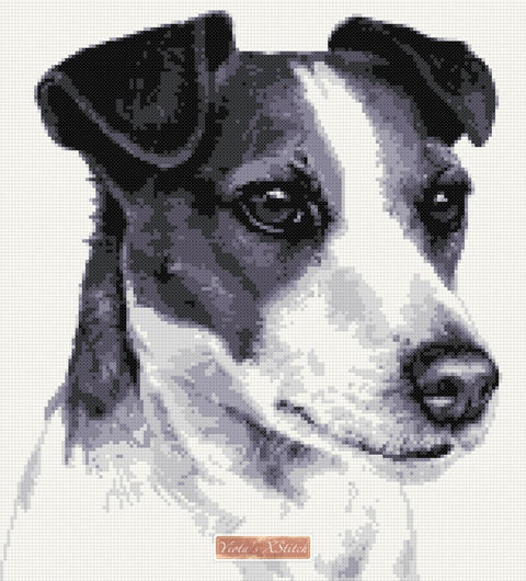 Black Jack Russell counted cross stitch kit