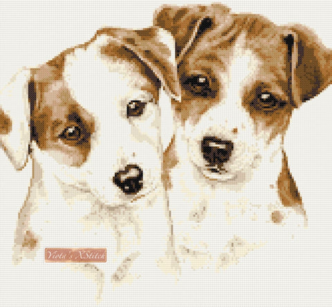 Jack Russell puppies (v2) counted cross stitch kit