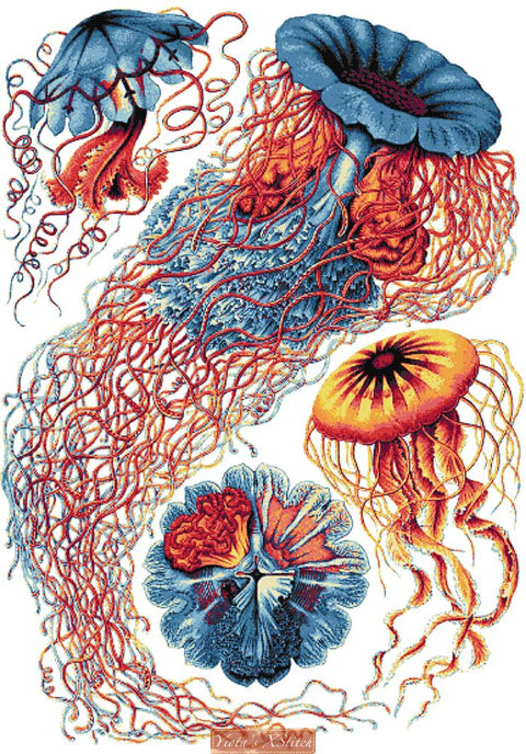 Jellyfish cross stitch kit