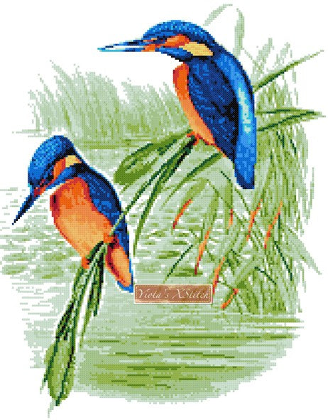 Kingfisher cross stitch kit