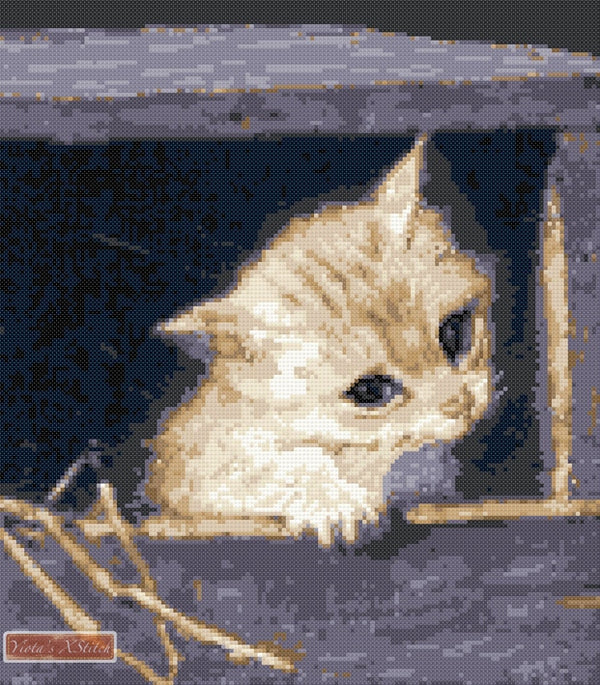 Kitten in a box (v2) counted cross stitch kit - 1