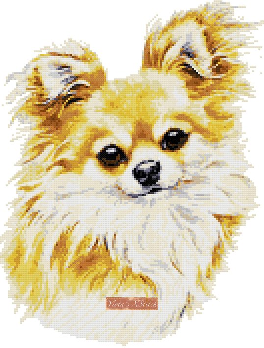 Long haired Chihuahua cross stitch kit