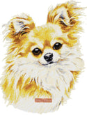 Long haired Chihuahua cross stitch kit - 1