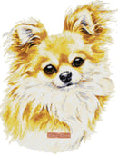 Long haired Chihuahua cross stitch kit