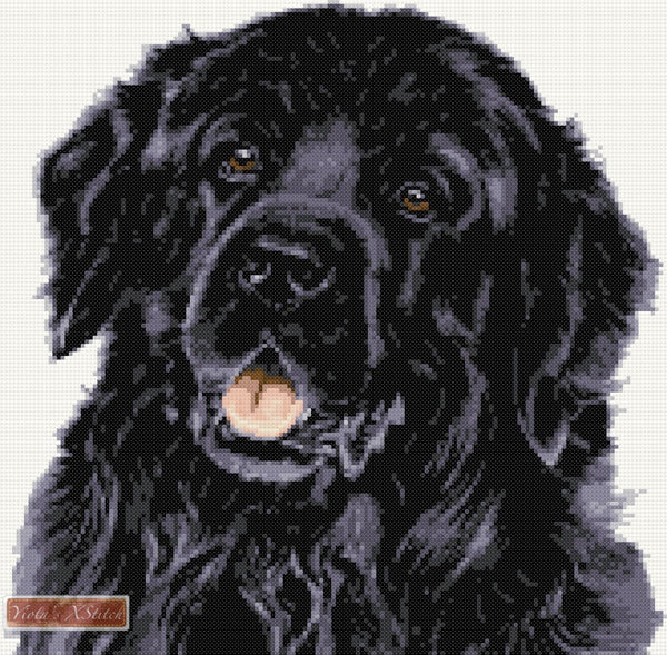 Newfoundland dog counted cross stitch kit - 1