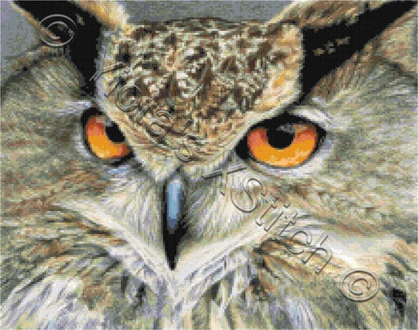 Orange eyed owl counted cross stitch kit - 1