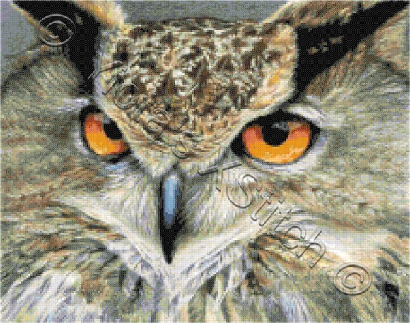 Orange eyed owl counted cross stitch kit