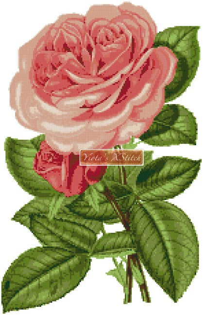 Pink rose counted cross stitch kit