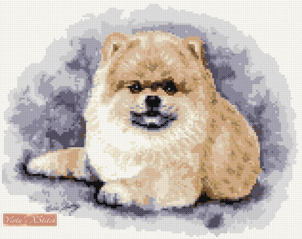 Pomeranian (v2) counted cross stitch kit - 1