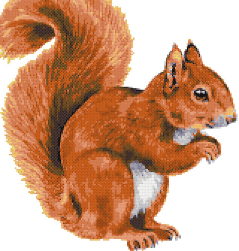 Red squirrel cross stitch kit