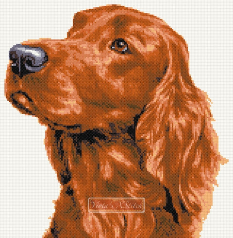 Red Setter counted cross stitch kit