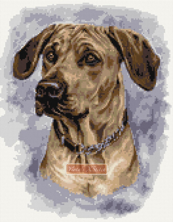 Rhodesian Ridgeback counted cross stitch kit - 1