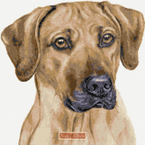 Rhodesian Ridgeback No2 counted cross stitch kit - 1