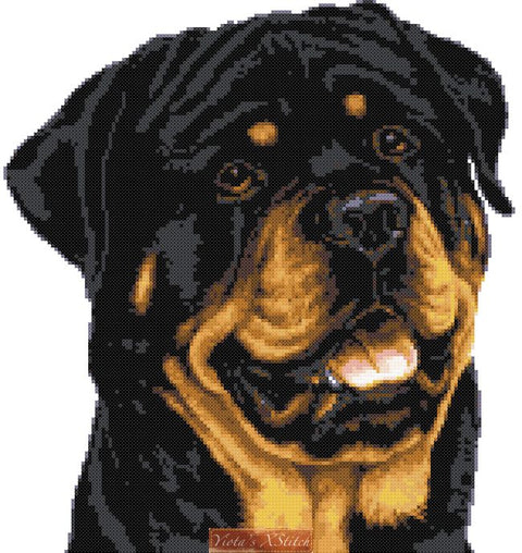 Rottweiler cross stitch kit