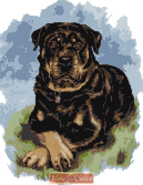 Rottweiler No1 counted cross stitch kit - 1