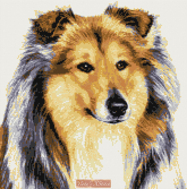 Rough collie (v2) counted cross stitch kit - 1