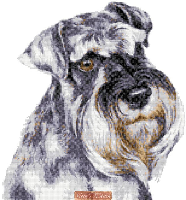 Schnauzer No4 cross stitch kit - 1