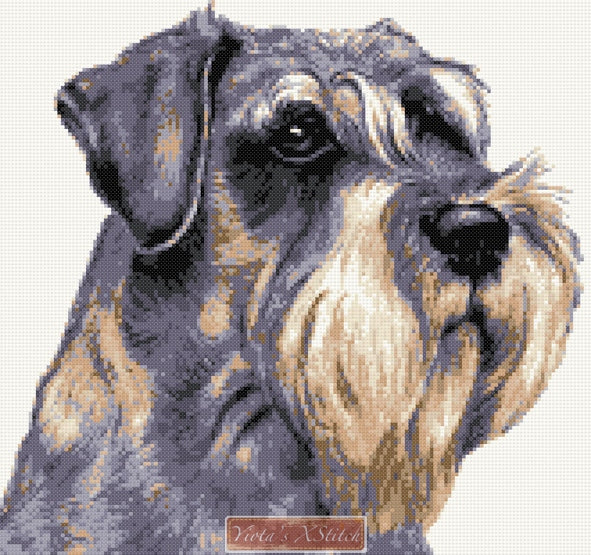 Schnauzer No3 counted cross stitch kit - 1