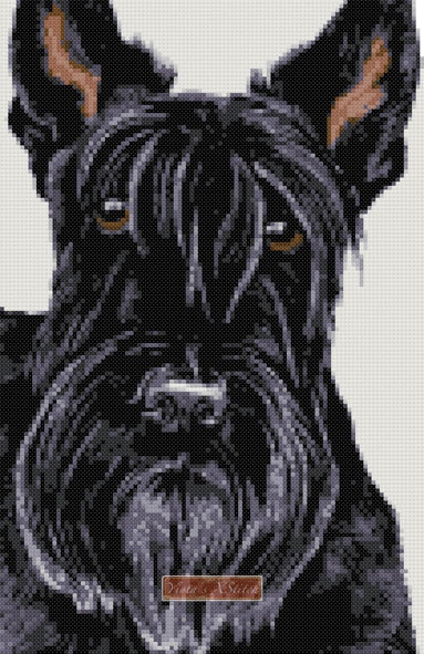 Scottish Terrier v2 counted cross stitch kit - 1
