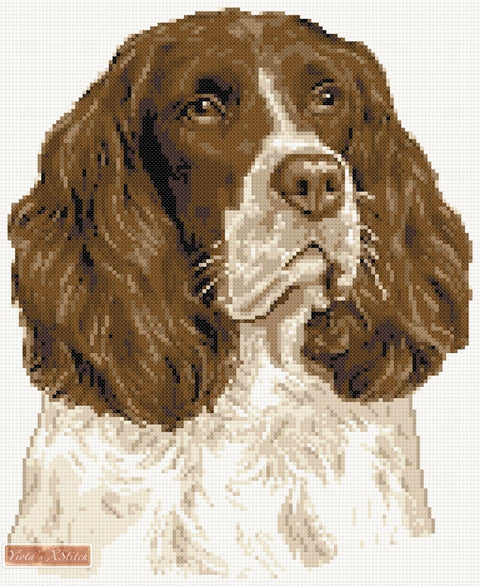 Springer Spaniel No5 counted cross stitch kit