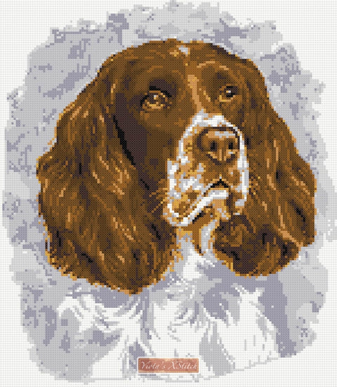 Springer Spaniel No7 counted cross stitch kit