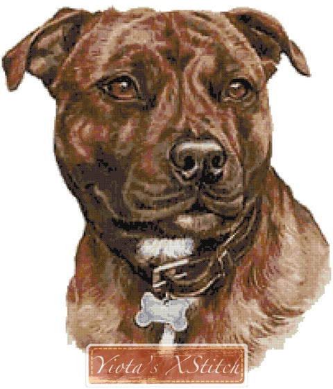 Staffordshire bull terrier No4 counted cross stitch kit