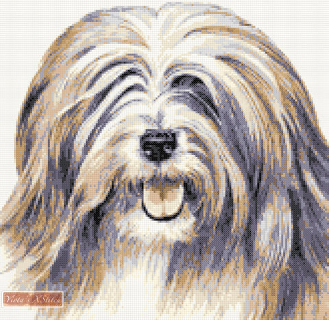 Tibetan Terrier No1 counted cross stitch kit