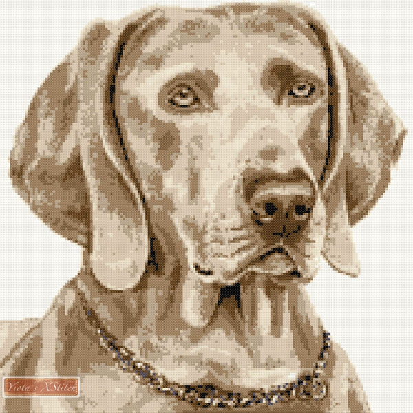 Weimaraner (v2) counted cross stitch kit - 1