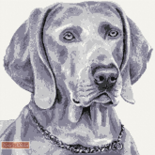 Weimaraner (v3) counted cross stitch kit - 1