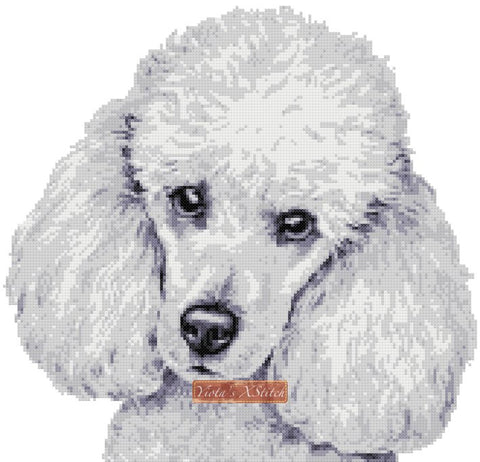 white poodle cross stitch kit