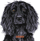 cocker spaniel cross stitch
