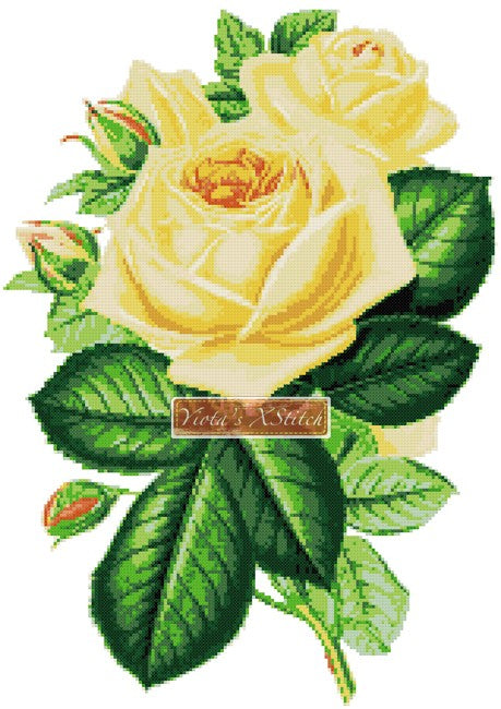 Yellow rose No2 cross stitch kit - 1