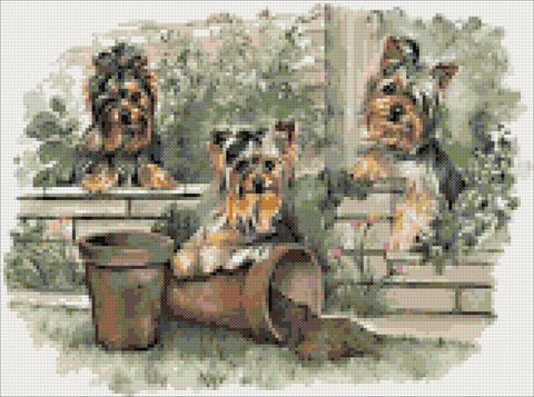 Yorkshire terrier puppies counted cross stitch kit