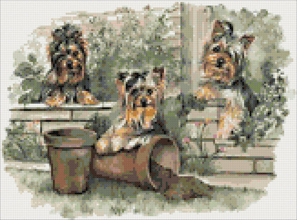 Yorkshire terrier puppies counted cross stitch kit - 1