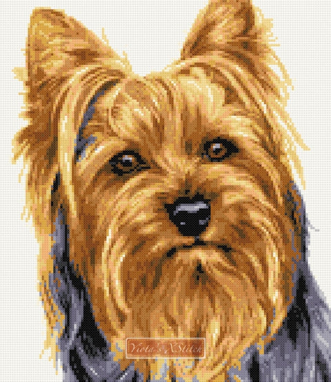 Yorkshire Terrier v2 counted cross stitch kit