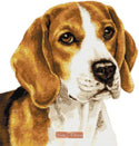 Beagle cross stitch kit (v2) - 1