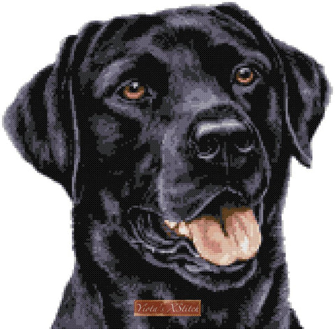 Black labrador close up cross stitch kit