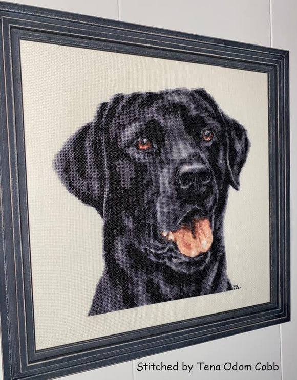 Kreuzstich-Set mit Nahaufnahme eines schwarzen Labradors (v2)