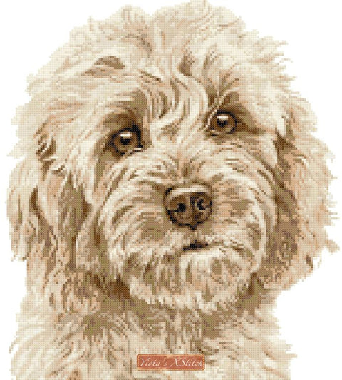 Blonde Cockapoo cross stitch kit