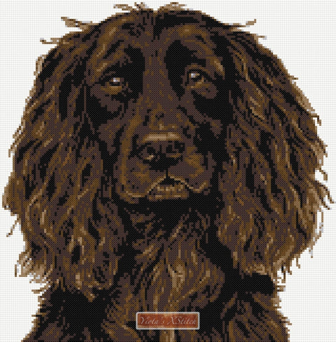 Brown Working cocker spaniel counted cross stitch kit