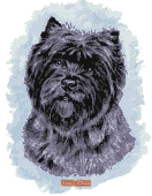 Cairn Terrier black (v2) cross stitch kit - 1