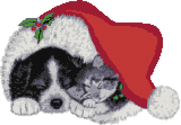 Dog and cat in Christmas hat (v2) counted cross stitch kit - 1