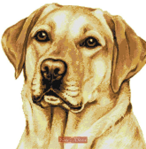 Dogs cross stitch kits golden labrador