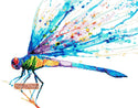 Watercolour dragonfly modern cross stitch kit - 1